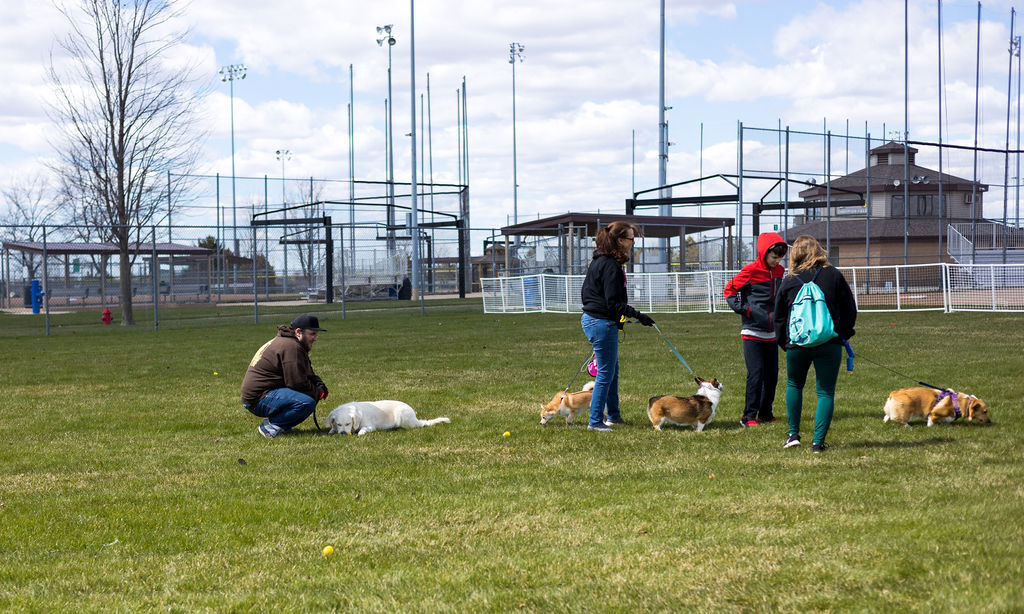 Hunting for eggs